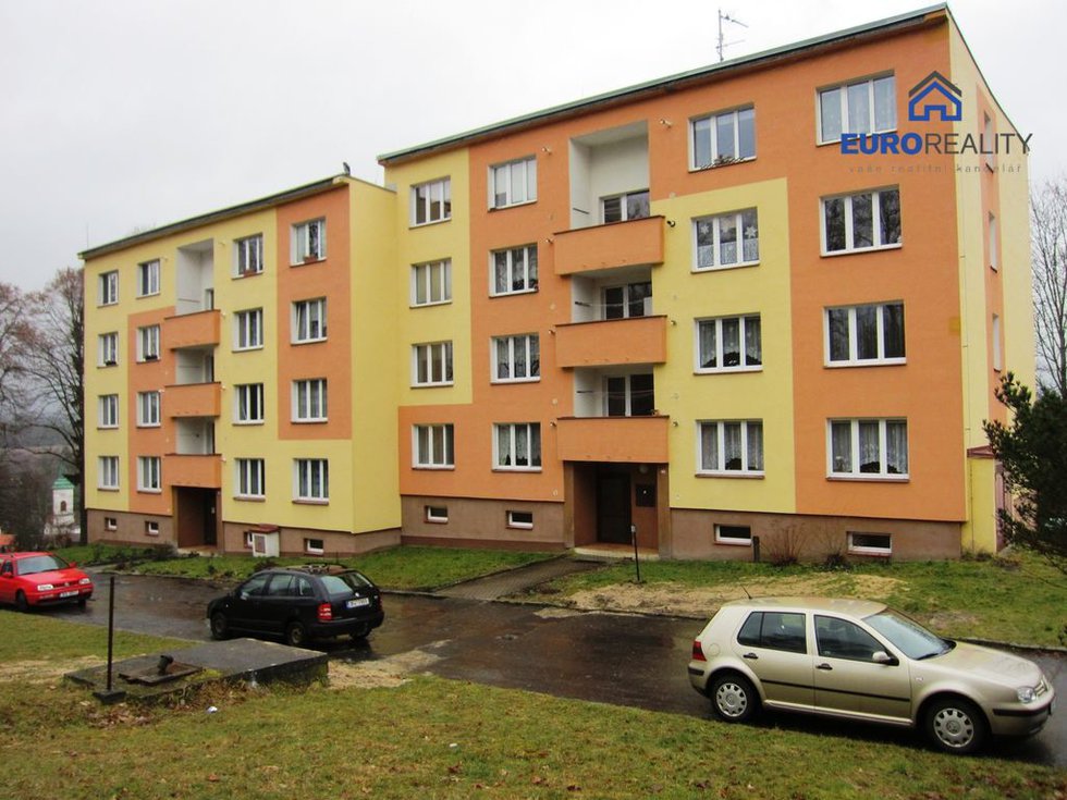 Prodej bytu 1+1 38 m², Plesná