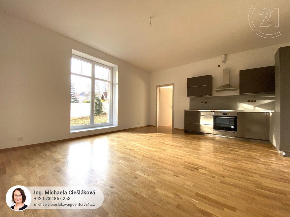 Pronájem bytu 4+kk 100 m², Liberec