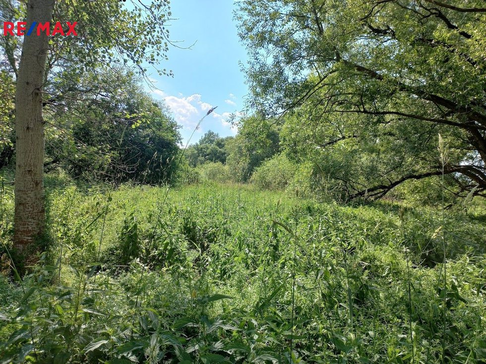 Prodej ostatních pozemků 4517 m², Vodňany