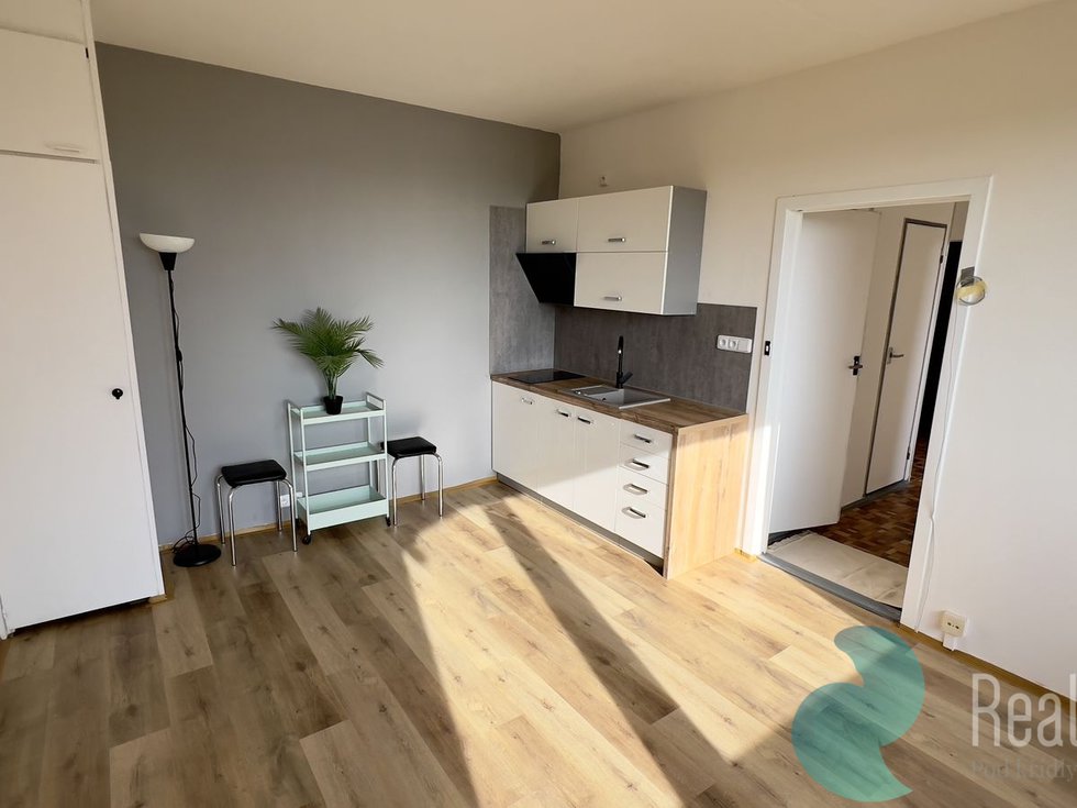 Pronájem bytu 1+1 49 m², České Budějovice