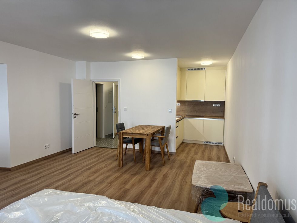 Pronájem bytu 1+kk, garsoniery 29 m², České Budějovice