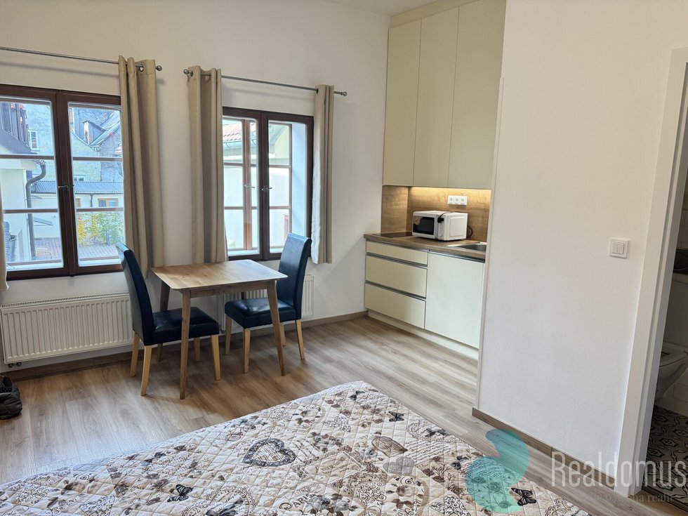 Pronájem bytu 1+kk, garsoniery 19 m², České Budějovice