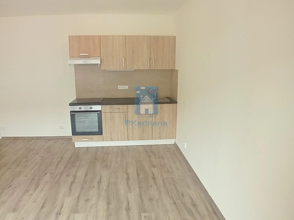 Pronájem bytu 1+kk, garsoniery 45 m², Plzeň