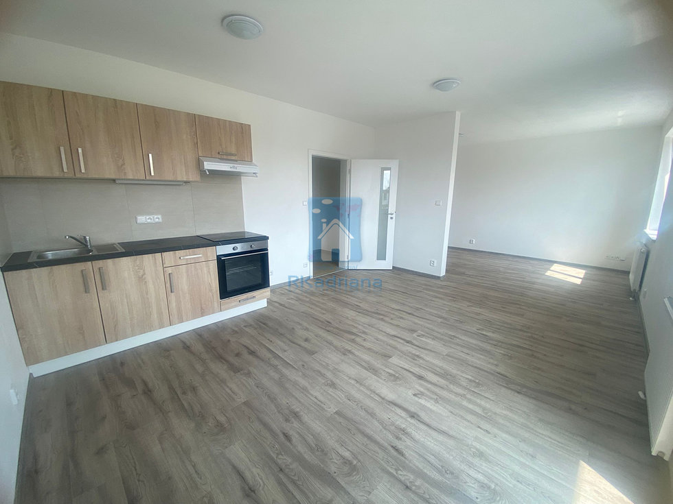 Pronájem bytu 1+kk, garsoniery 46 m², Plzeň