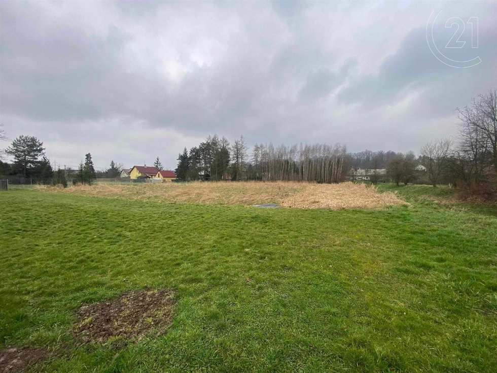 Prodej stavební parcely 3842 m², Dětmarovice