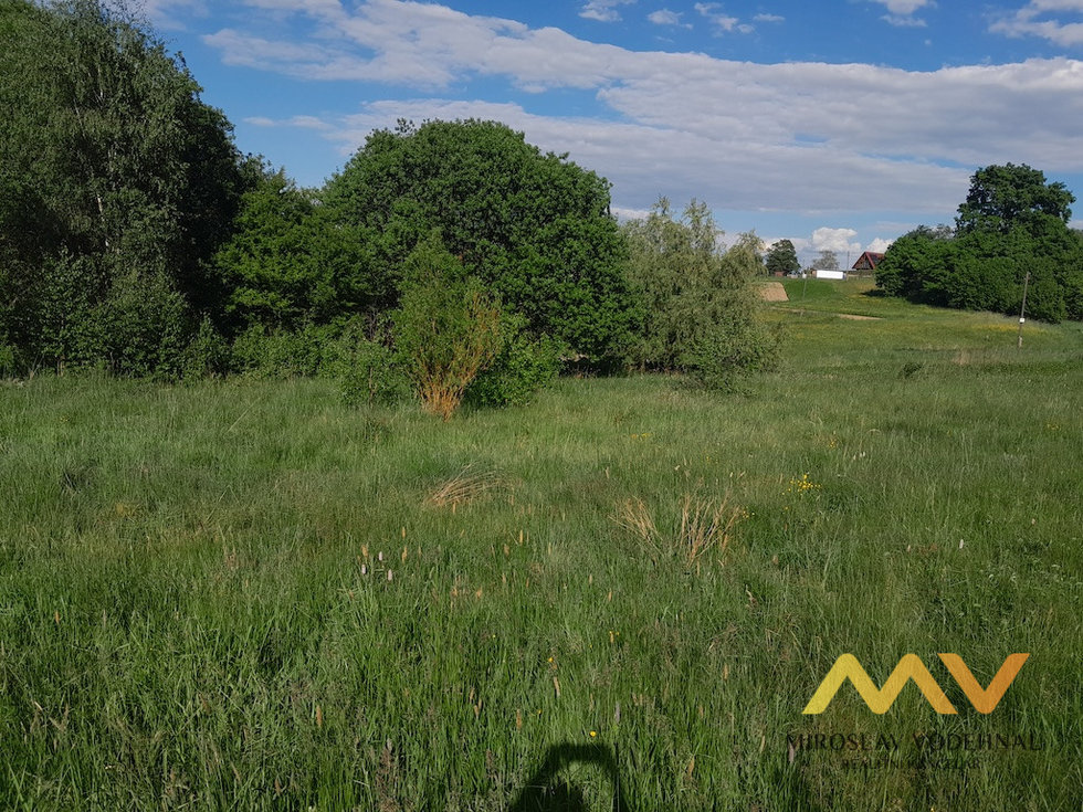 Prodej louky 5858 m², Dvůr Králové nad Labem