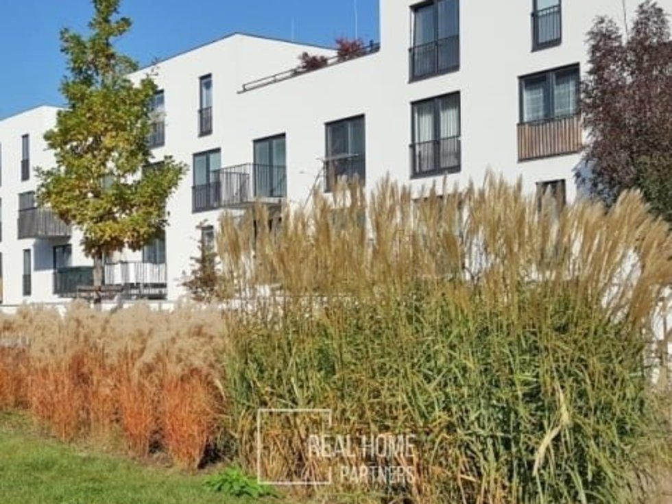 480x610cwm1-120b8-pronajem-byt-1-kk-34m2-balkon-st