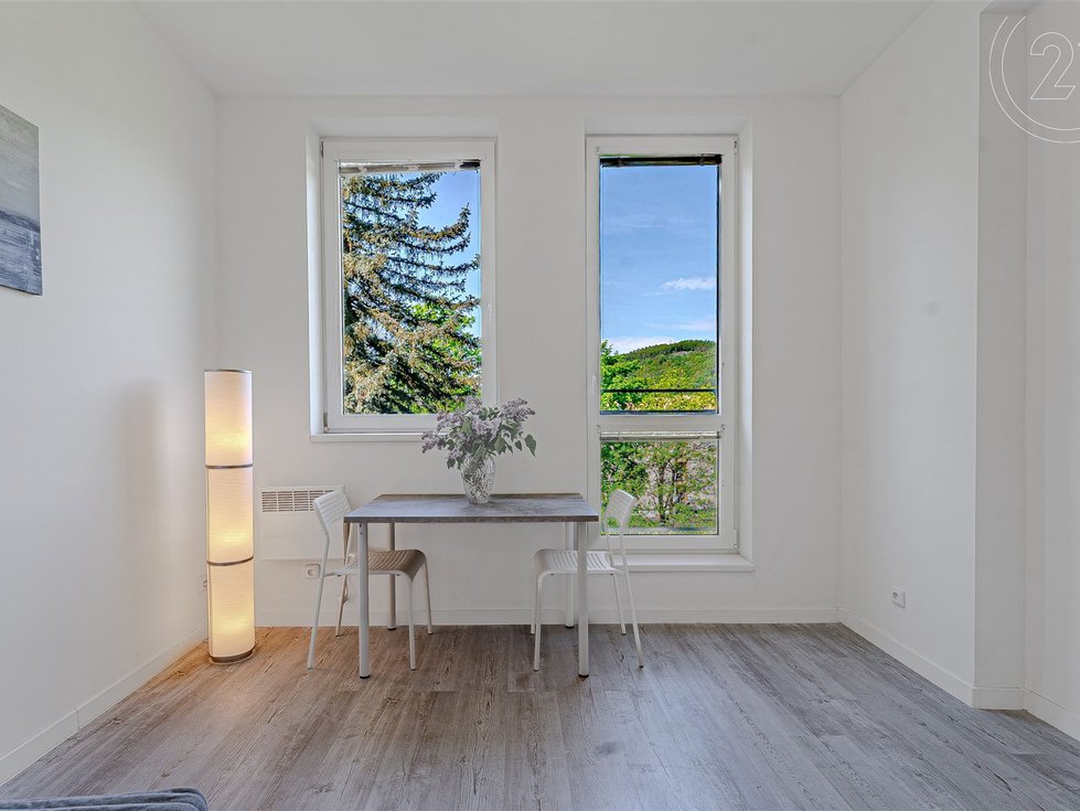 Prodej bytu 1+kk, garsoniery 18 m², Sázava