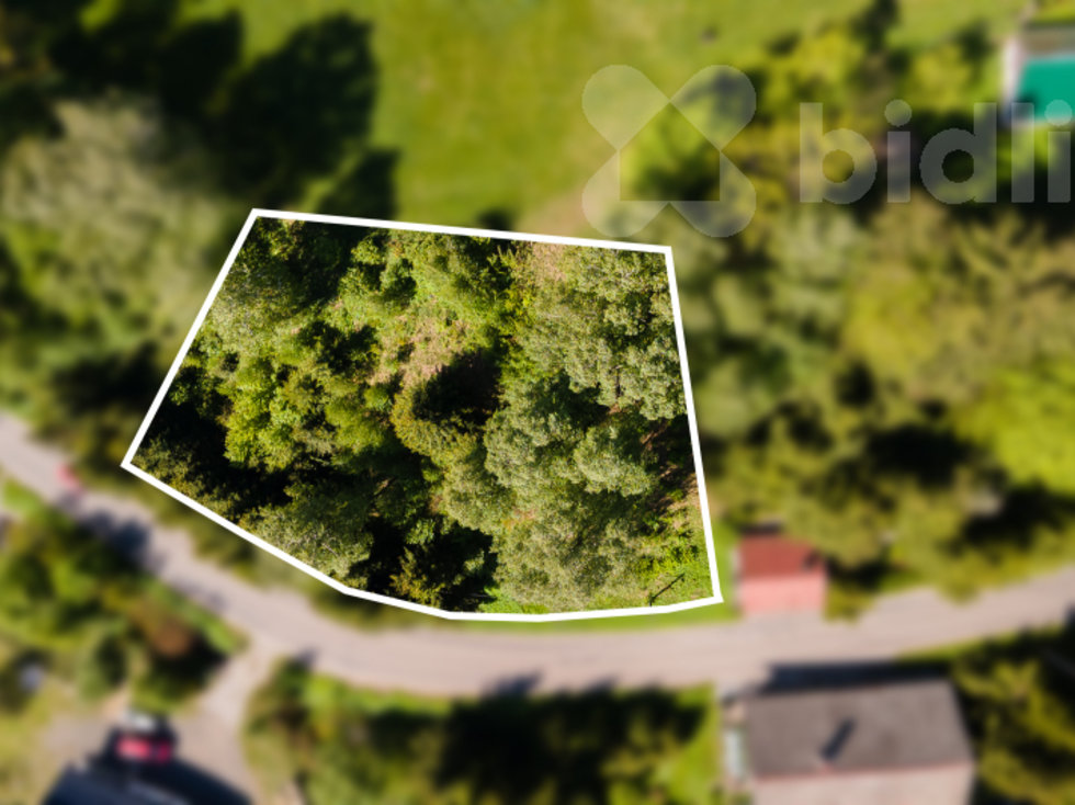 Prodej louky 3038 m², Kunvald