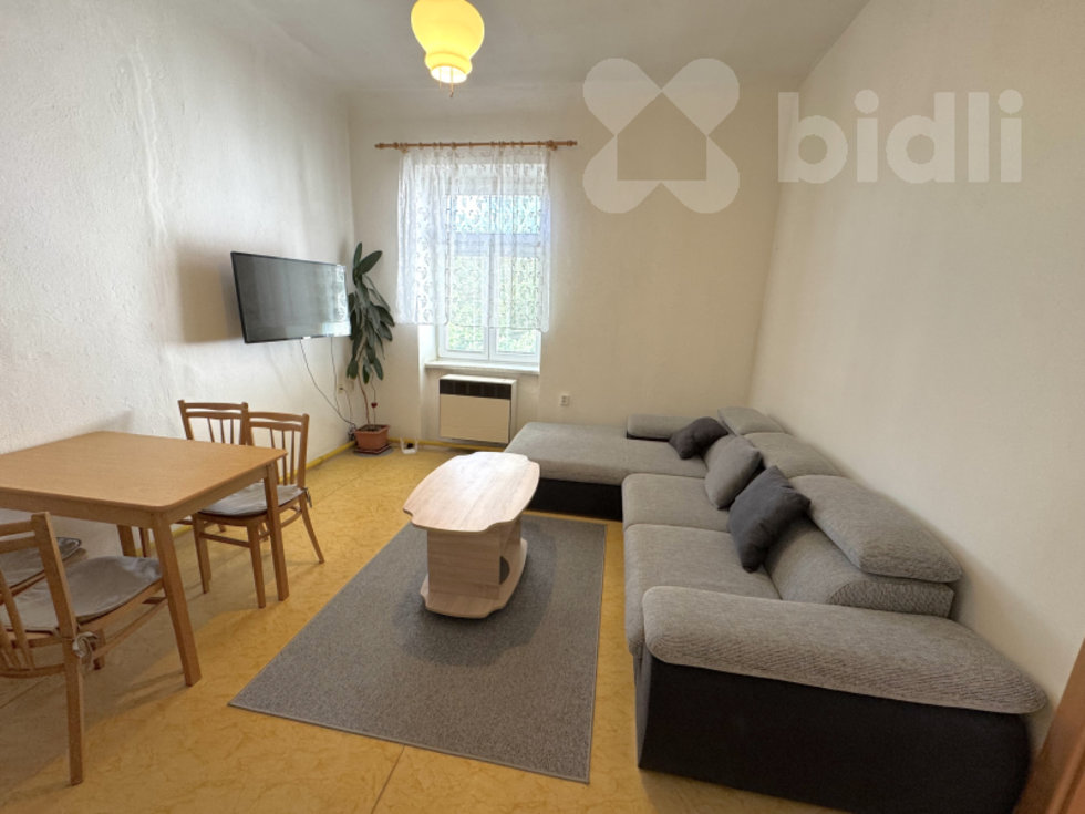 Pronájem bytu 2+1 42 m², České Budějovice