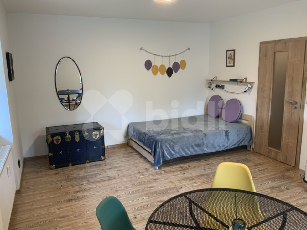 Pronájem bytu 1+kk, garsoniery 35 m², Staré Buky