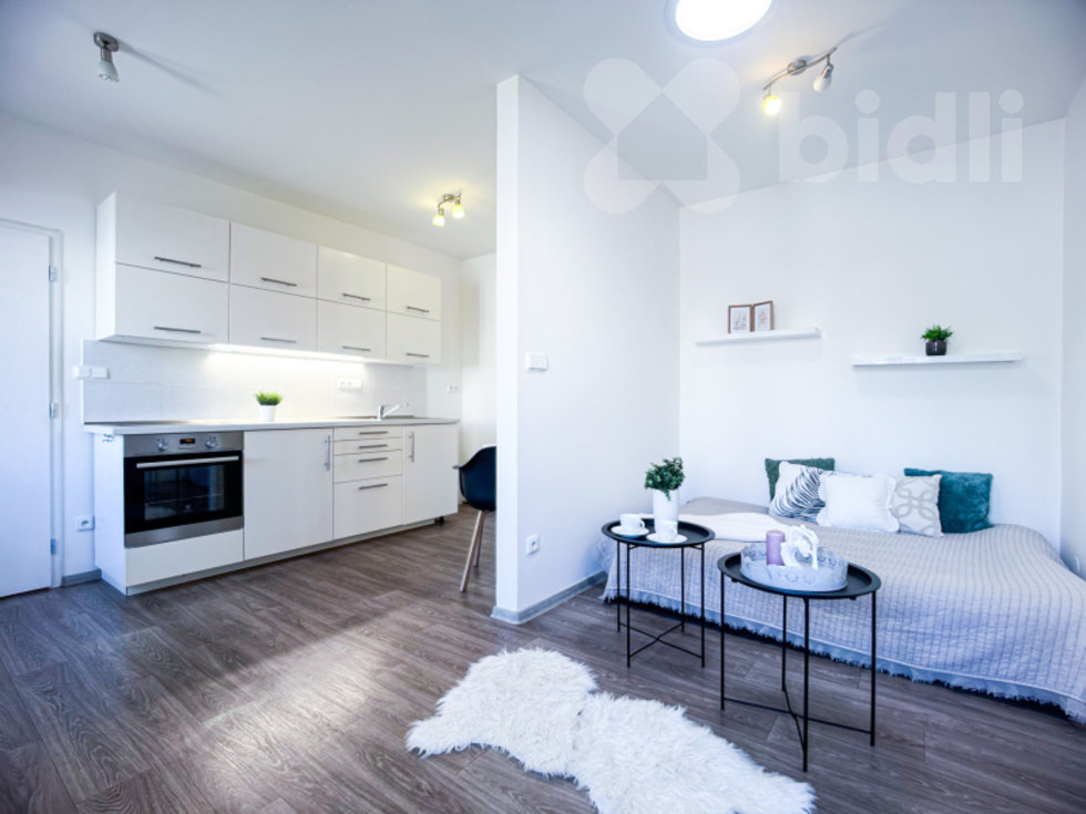 Pronájem bytu 1+kk, garsoniery 39 m², Hradec Králové