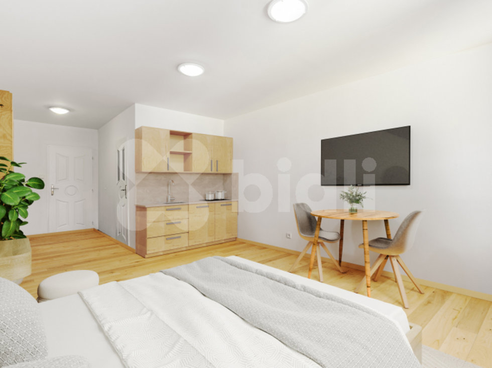 Prodej bytu 1+kk, garsoniery 38 m², Rejštejn