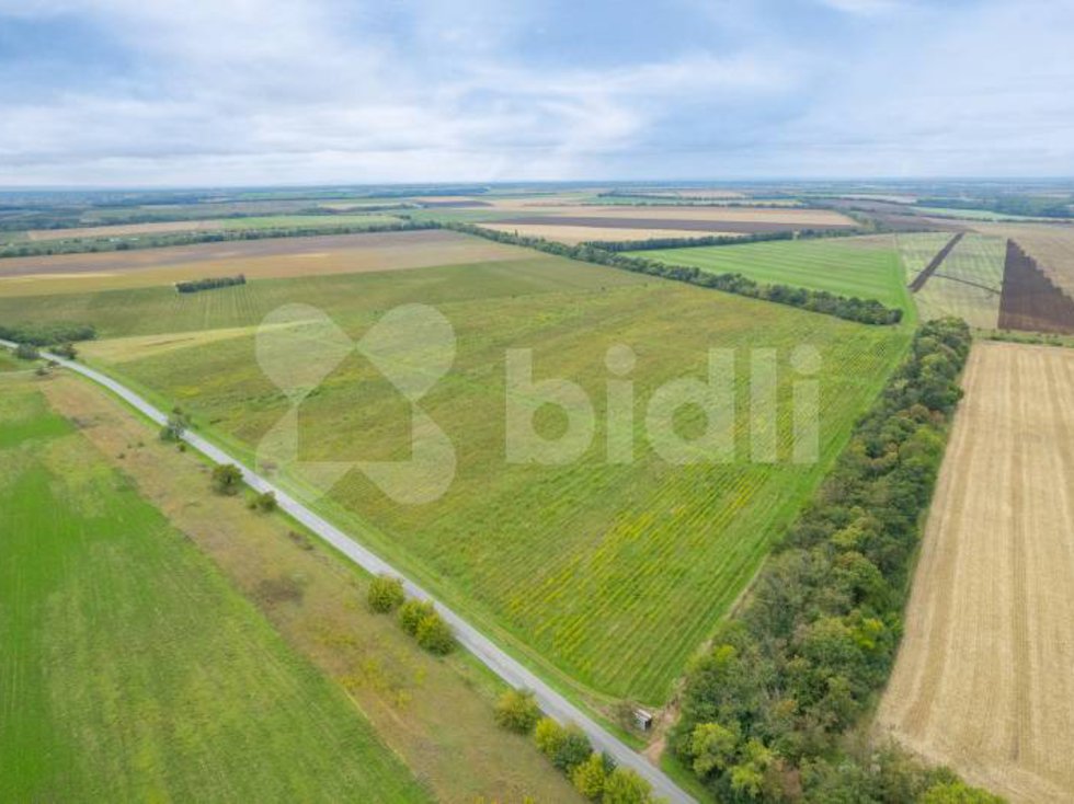 Prodej zemědělské půdy 232138 m², Pohořelice