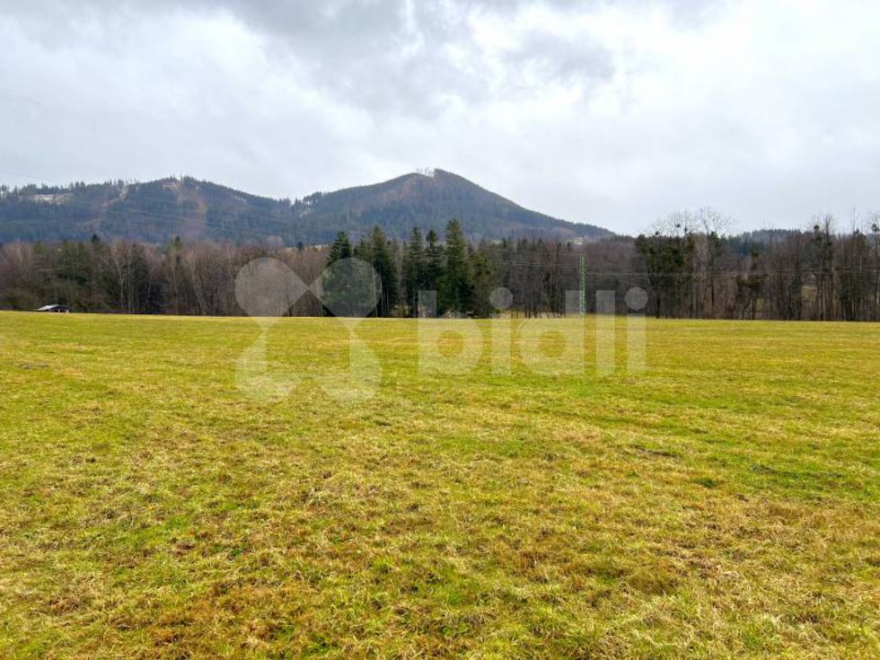 Prodej louky 5500 m², Frýdlant nad Ostravicí