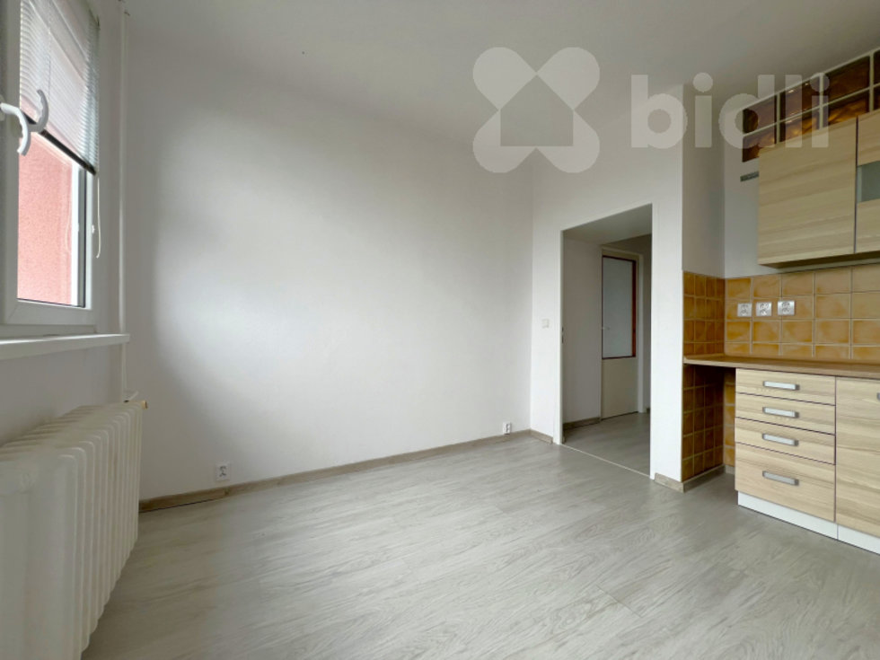 Pronájem bytu 1+1 47 m², Frýdek-Místek