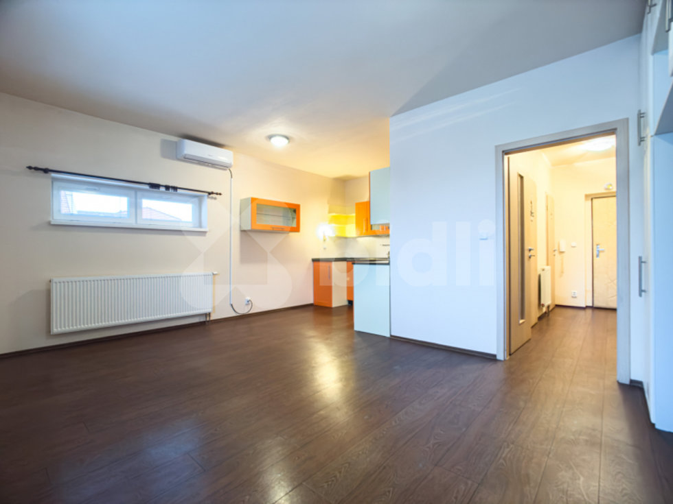 Pronájem bytu 1+kk, garsoniery 43 m², Tlučná