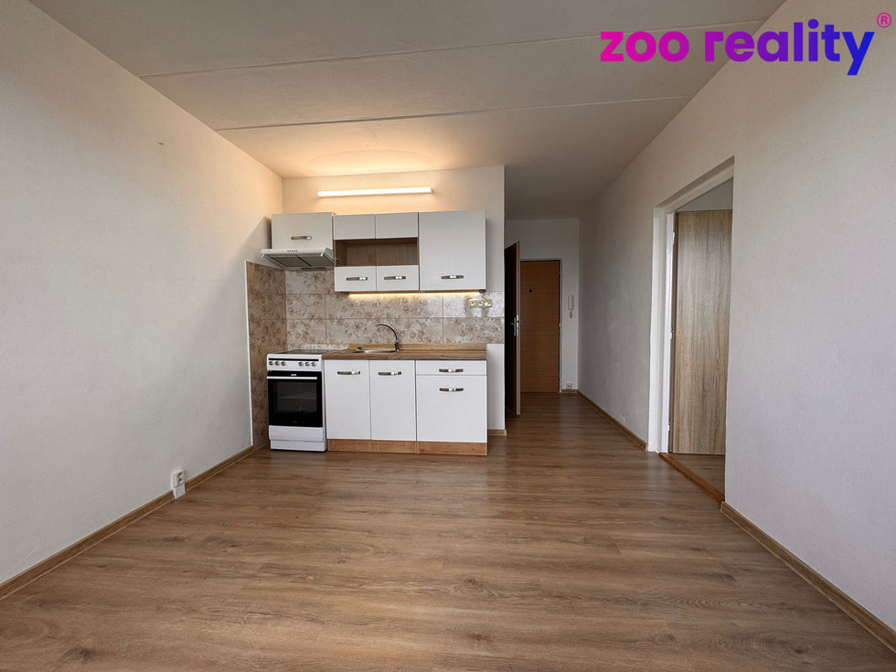 Pronájem bytu 1+1 38 m², Žatec