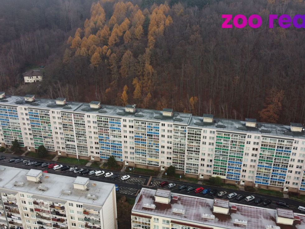 Prodej bytu 4+1 78 m², Litvínov