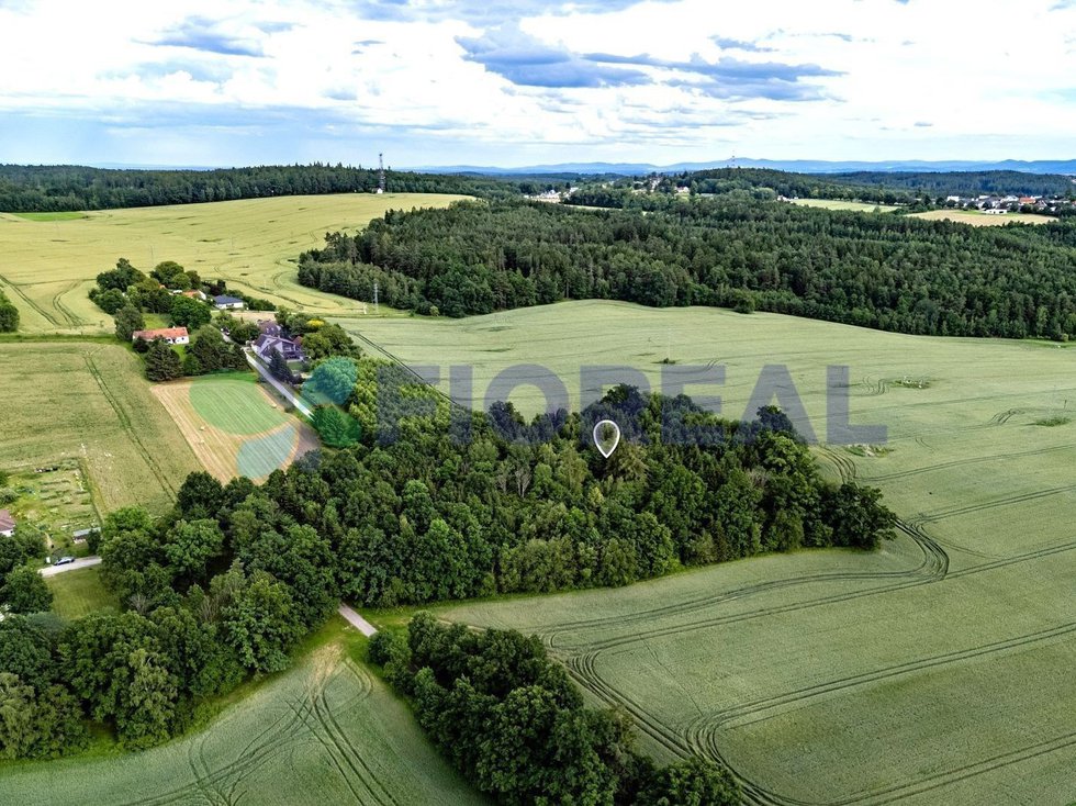 Prodej stavební parcely 6449 m², Libníč