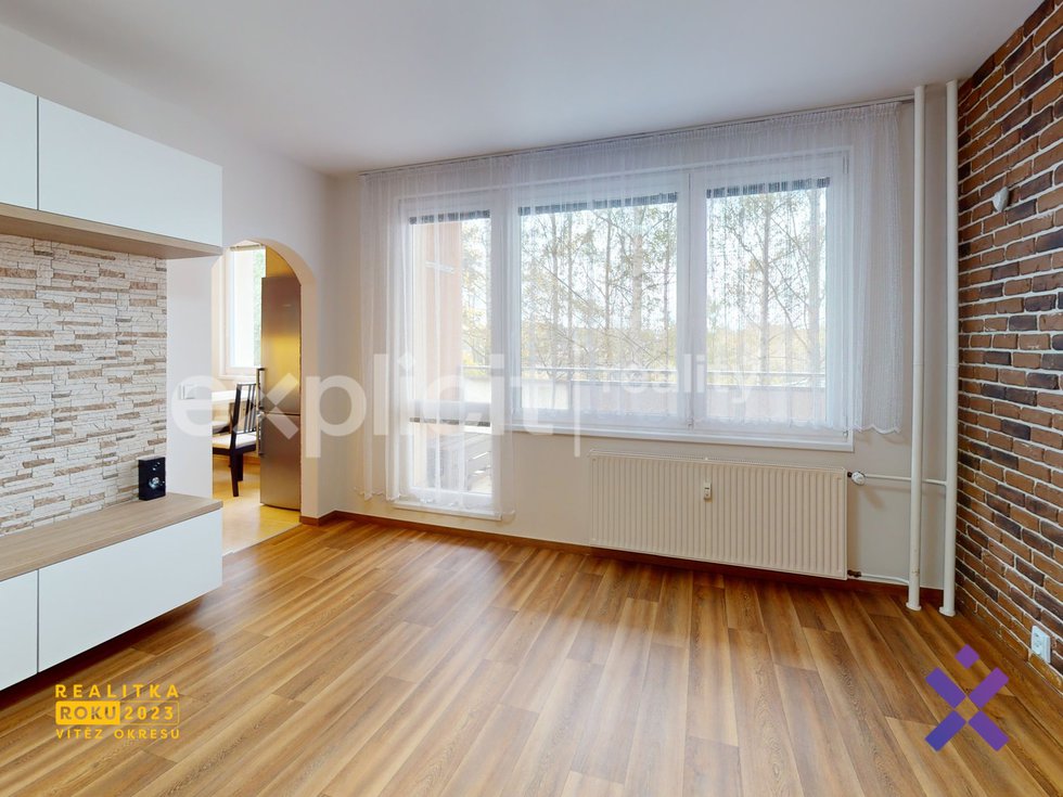 Pronajem-Byty-31-Zlin-Living-Room (1)