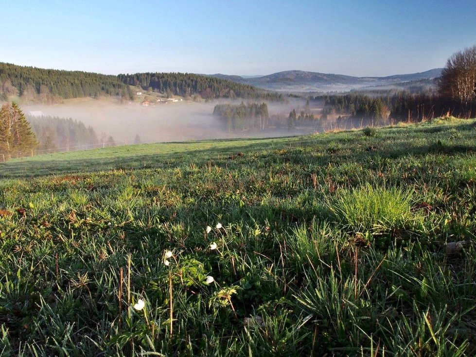 Prodej stavební parcely 1412 m², Stožec