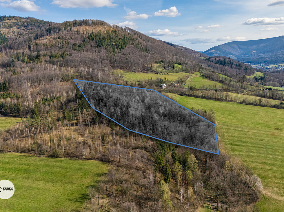 Prodej lesa 20736 m², Vyšní Lhoty