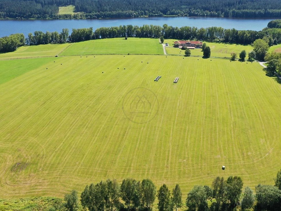 Prodej zemědělské půdy 92549 m², Horní Planá