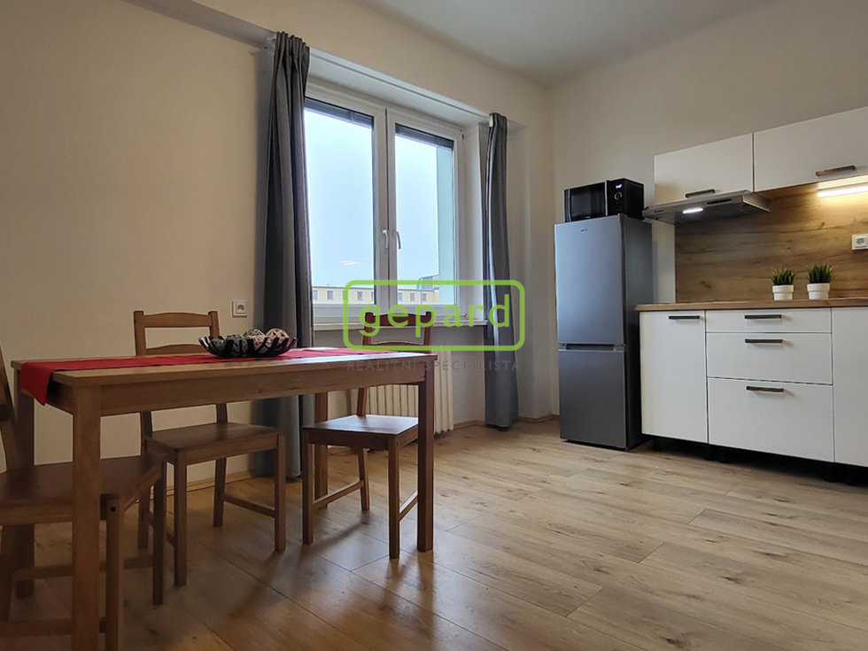 Pronájem bytu 1+1 39 m², Brno