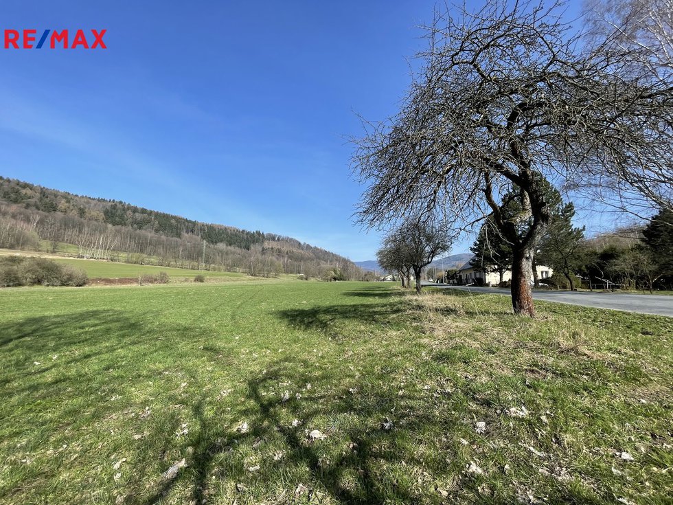 Prodej zemědělské půdy 7826 m², Loučná nad Desnou