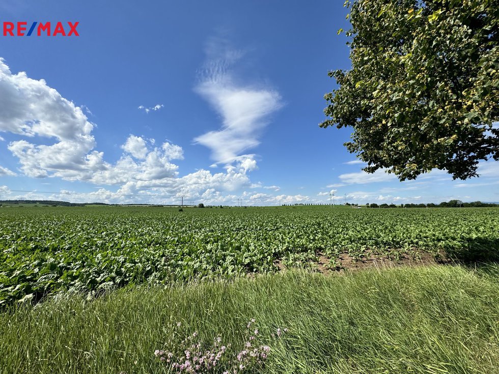 Prodej zemědělské půdy 3550 m², Náměšť na Hané