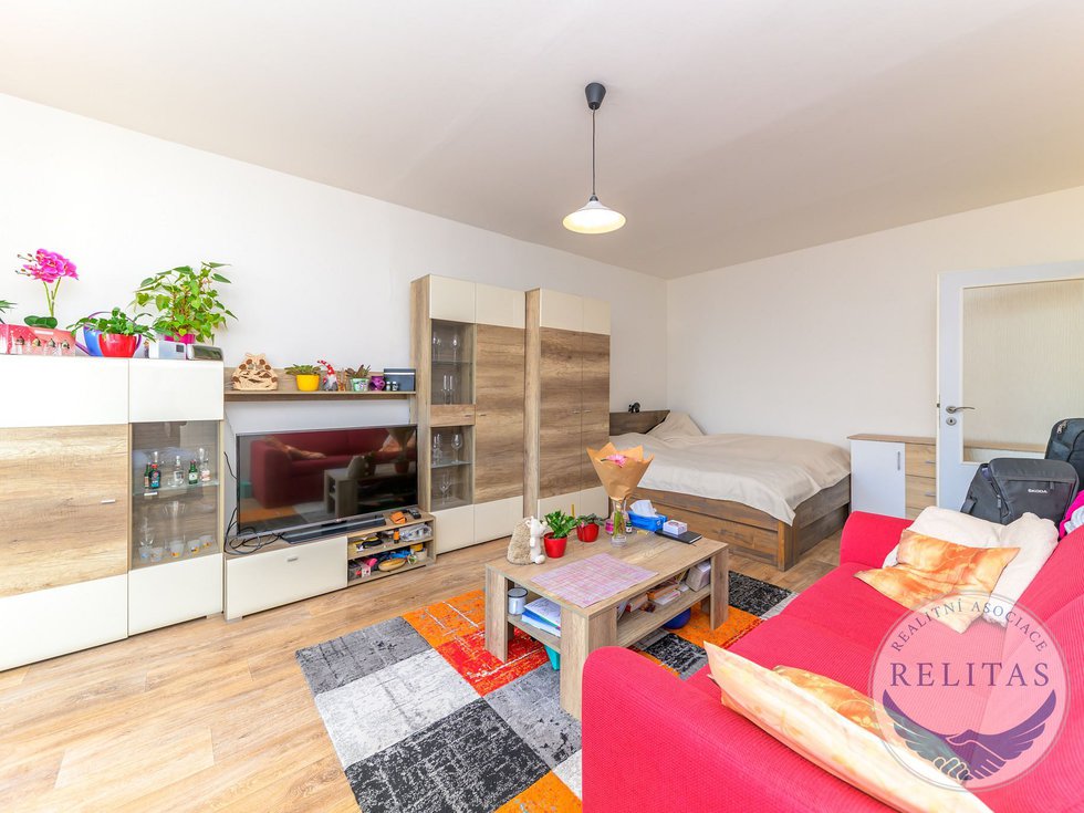 Pronájem bytu 1+1 41 m², Praha