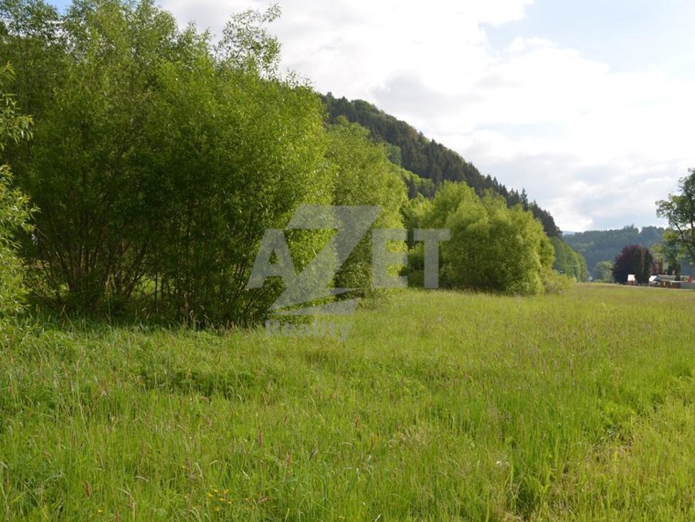 Prodej stavební parcely 4500 m², Hanušovice