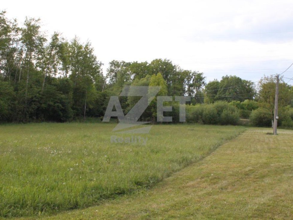 Prodej stavební parcely 4961 m², Horní Domaslavice