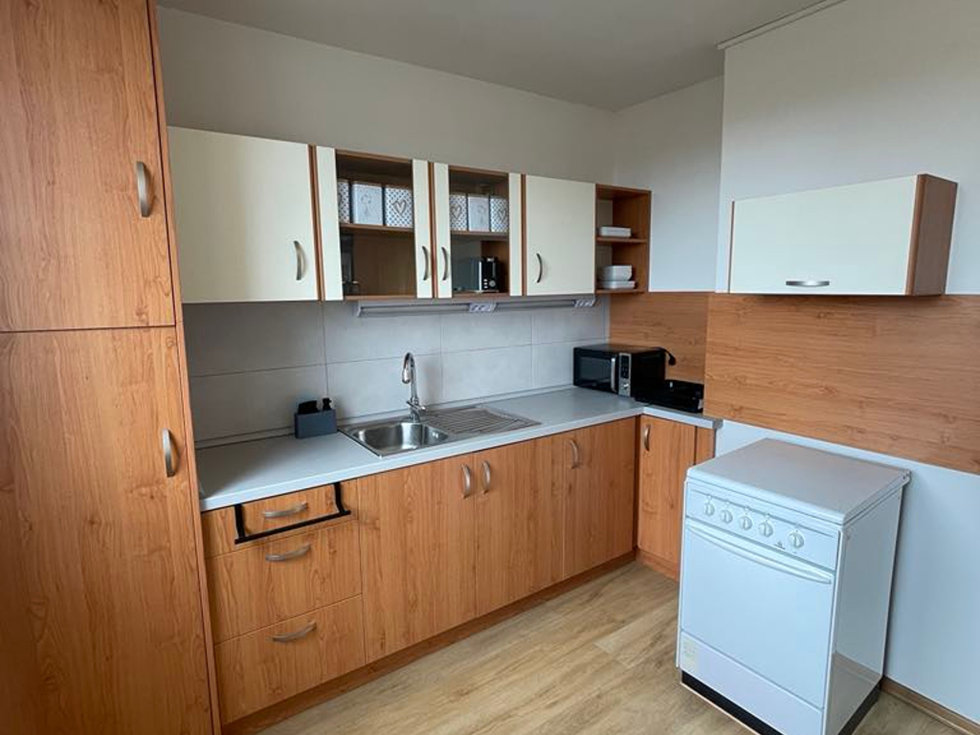 Pronájem bytu 1+1 35 m², Opava