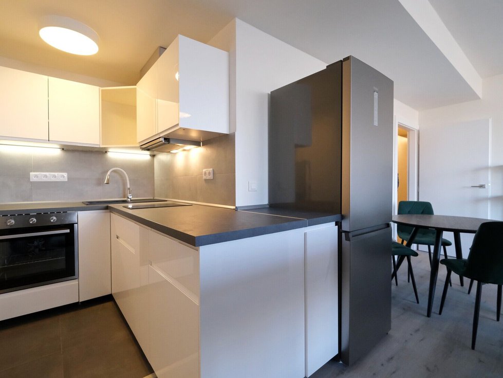 Pronájem bytu 1+kk, garsoniery 48 m², Praha