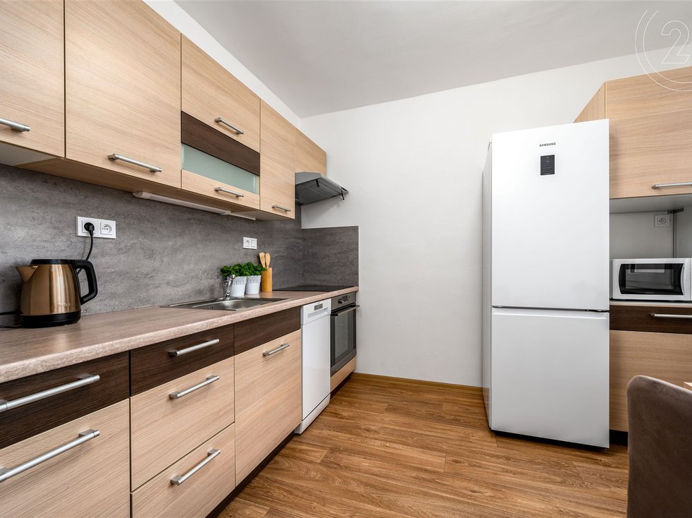 Pronájem bytu 1+1 47 m², Praha