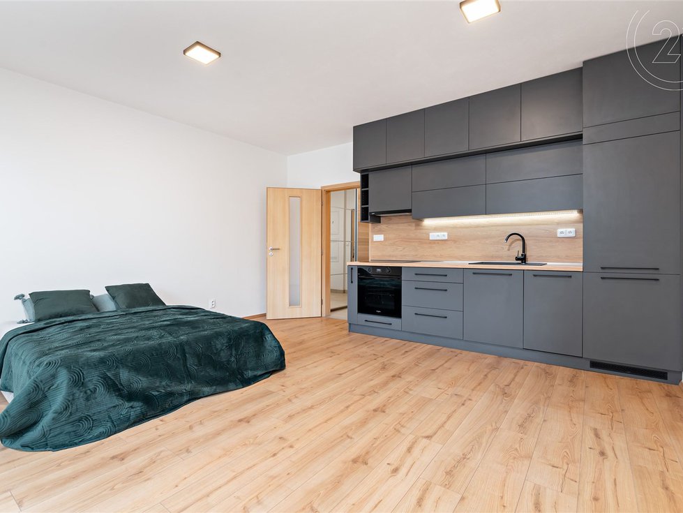 Pronájem bytu 1+kk, garsoniery 34 m², Plzeň