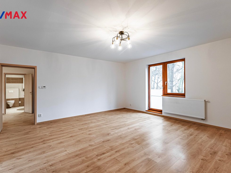 Pronájem bytu 1+1 58 m², Praha