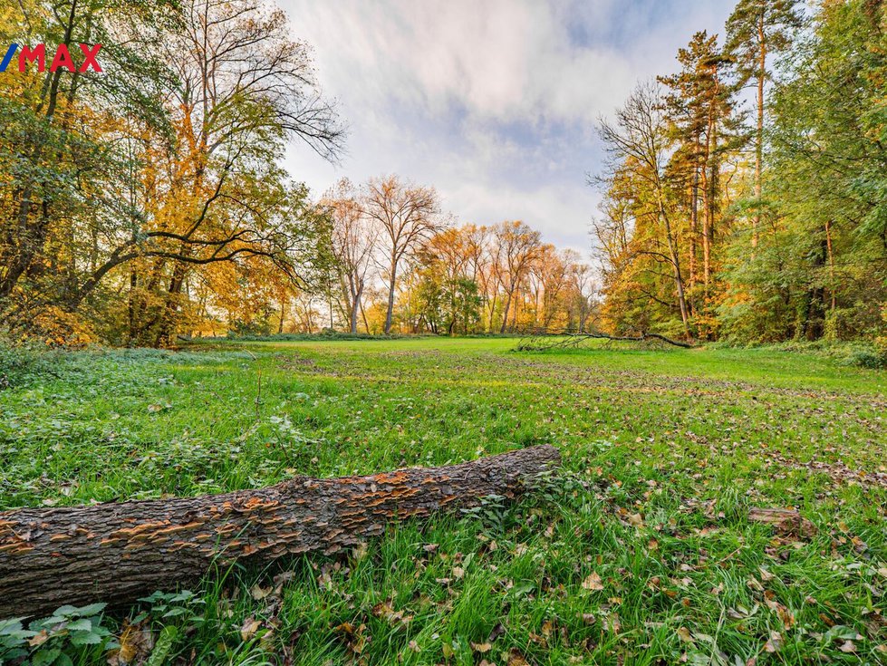 Prodej louky 5000 m², Praha