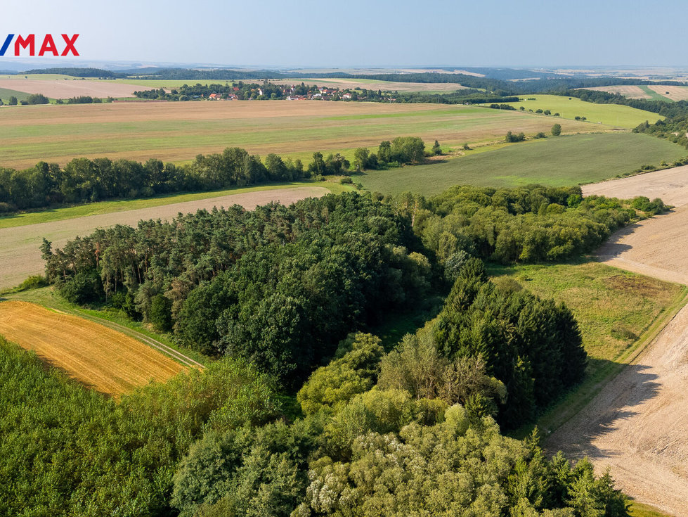 Prodej ostatních pozemků 11138 m², Panoší Újezd