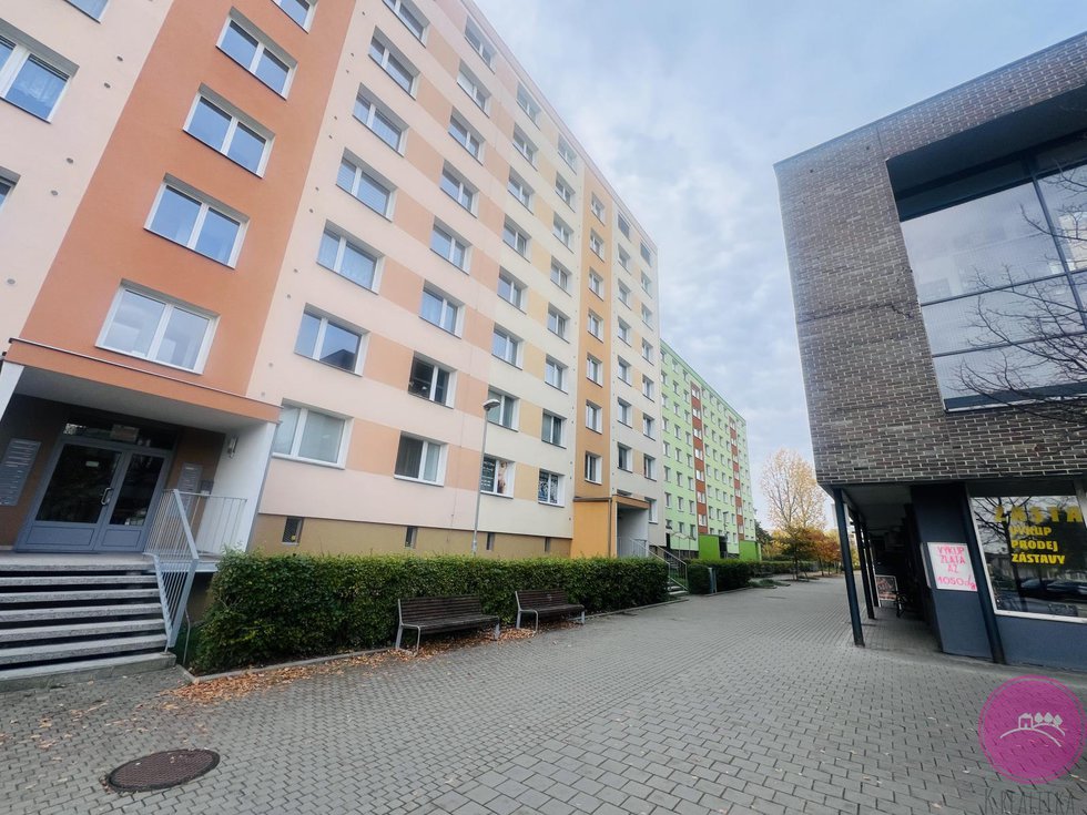 Pronájem bytu 1+1 30 m², Olomouc