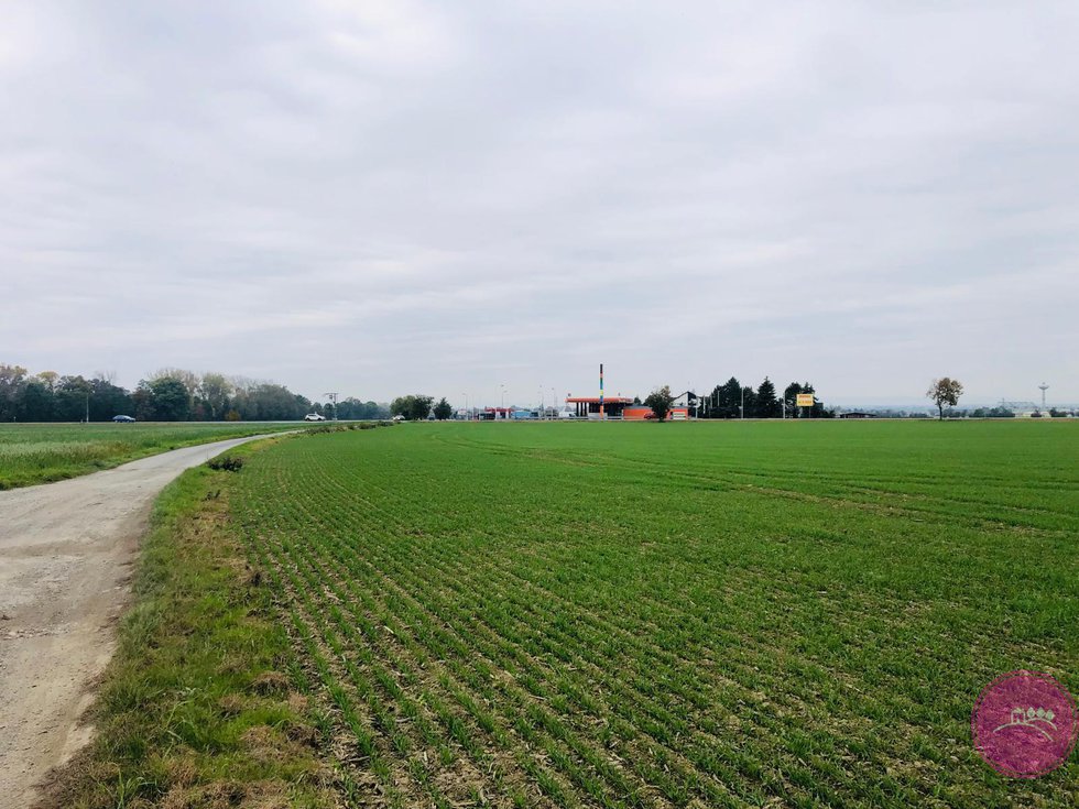 Prodej zemědělské půdy 19397 m², Bělkovice-Lašťany