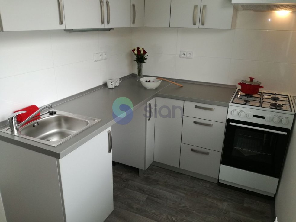 Pronájem bytu 1+1 39 m², Ostrava
