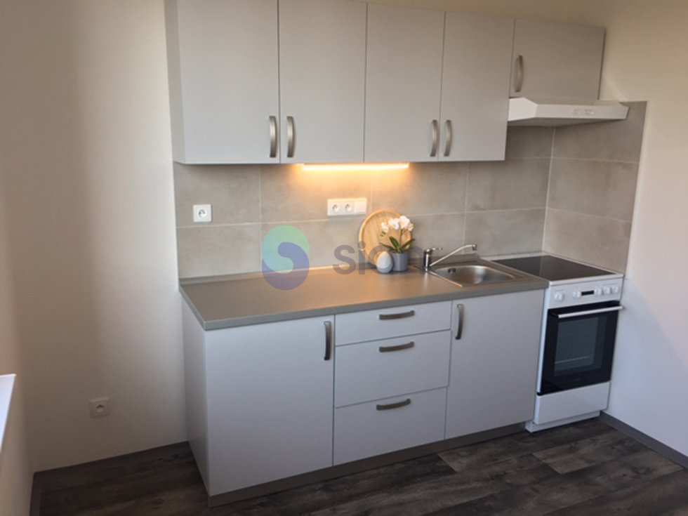Pronájem bytu 1+1 38 m², Ostrava