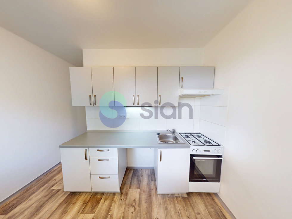 Pronájem bytu 1+1 38 m², Ostrava