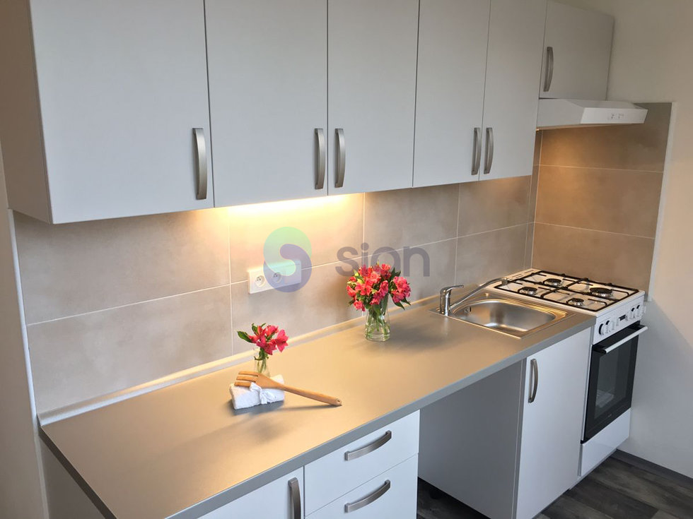 Pronájem bytu 1+1 36 m², Ostrava