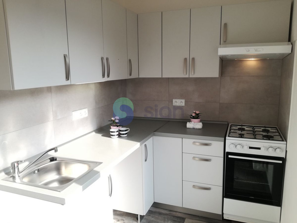 Pronájem bytu 1+1 39 m², Ostrava
