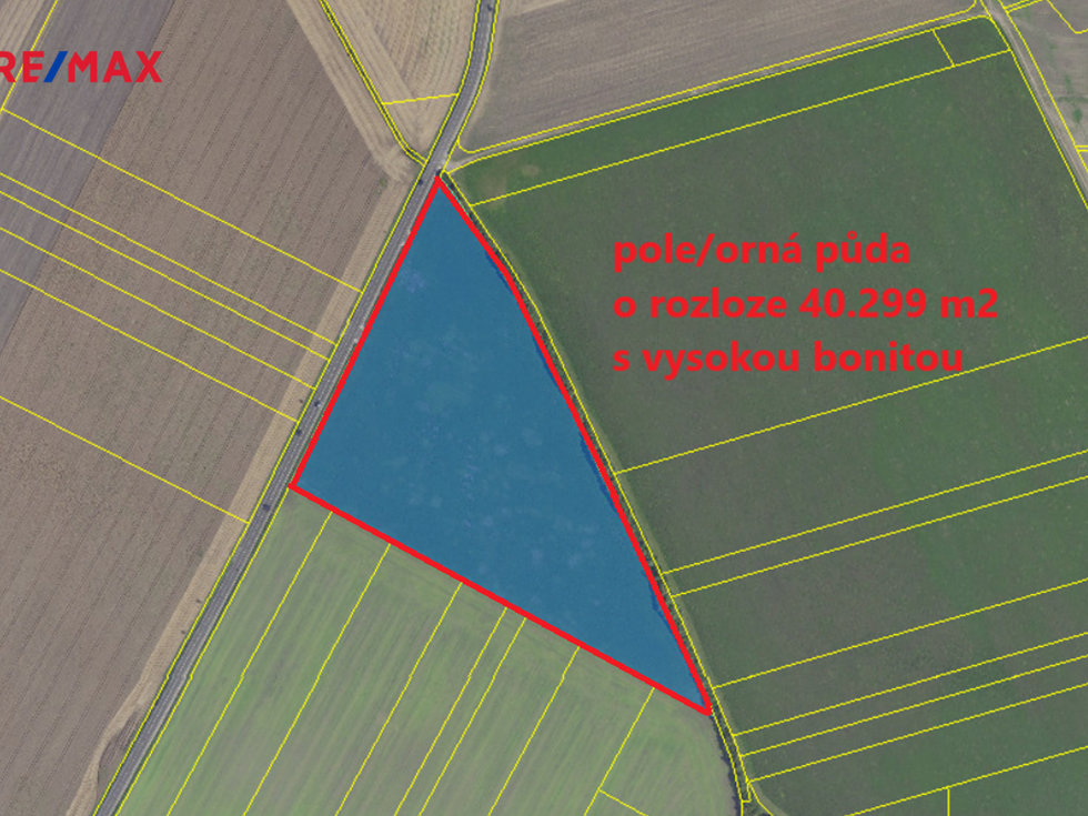 Prodej zemědělské půdy 40299 m², Kněžice