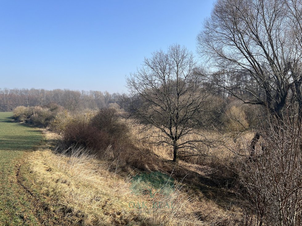 Pohled na pozemek v u?doli? v kraje pole
